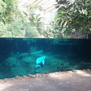 Duisburg Zoo - Rio Negro