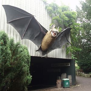 Frankfurt Zoo - Grzimek House