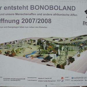 Frankfurt Zoo - Borgori-wald