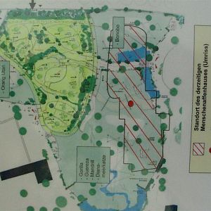 Frankfurt Zoo - Borgori-wald