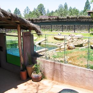 Otter and Rhino exhibit - Western Plains Zoo