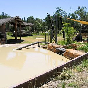 Otter and Rhino exhibit - Western Plains Zoo