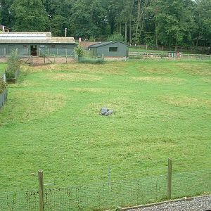 Pygmy Hippopotamus House & Enclosures - Marwell 2007