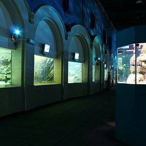 Aquarium