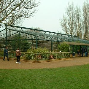 Amur Leopard Enclosure - Twycross 2006