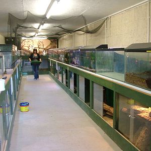 Reptile house at Fife Animal Park 2008