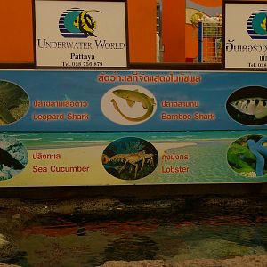 touch tank signage, Pattaya Underwater World (Thailand)