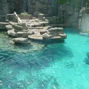 Lincoln Park Zoo - Polar Bear Exhibit