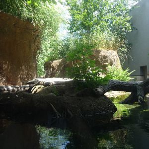 Lincoln Park Zoo - River Otter Exhibit