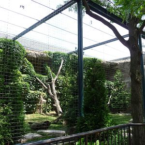 Lincoln Park Zoo - Snow Leopard Exhibit