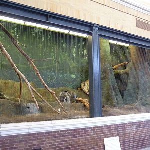 Lincoln Park Zoo - Jaguar Exhibit