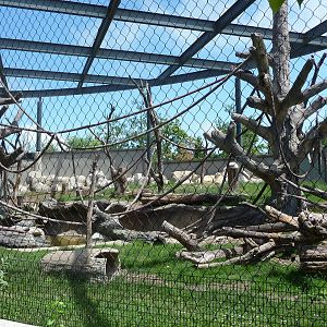 Regenstein Center for African Apes - Lincoln Park Zoo