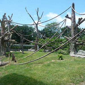 Regenstein Center for African Apes - Lincoln Park Zoo