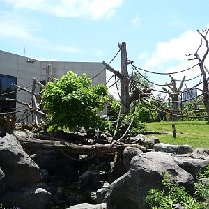 Regenstein Center for African Apes - Lincoln Park Zoo