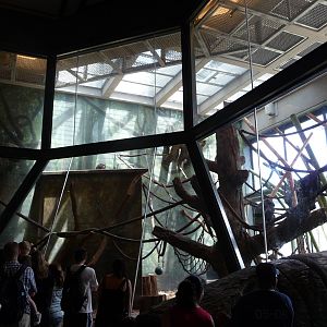 Regenstein Center for African Apes - Lincoln Park Zoo