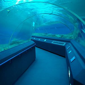 ocean tank, Pattaya Underwater World (Thailand)