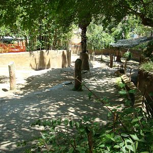 Sichuan Takin exhibit at the Los Angeles Zoo