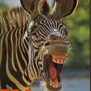 Guidebook,prob. 1971, second version