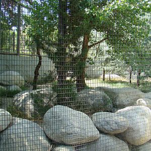 Snow Leopard exhibit at the Los Angeles Zoo