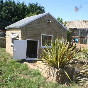 Giant anteater enclosure