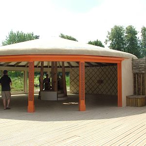 Cheetah viewing area at Chester Zoo July 2008