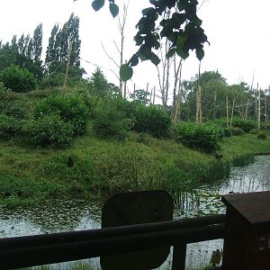 Sulawesi Macaque Island