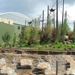 Realm of the Red Ape