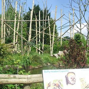 Capuchin Island at Chester Zoo