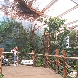 Bird aviaries at Chester Zoo