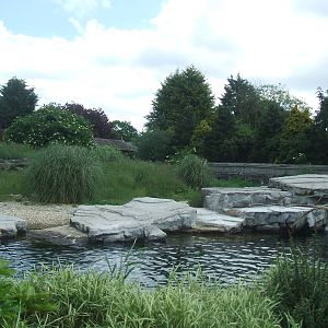 Penguin Pool at Chester Zoo
