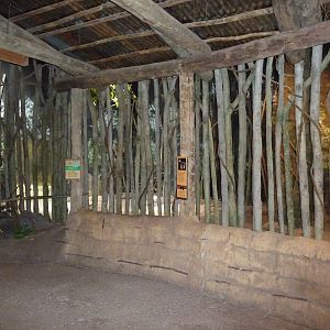 Brookfield Zoo - Okapi Indoor Quarters
