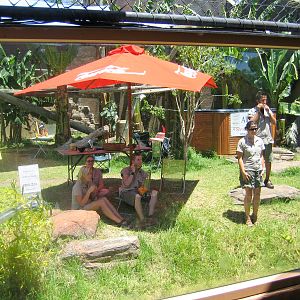 Human Zoo - Jan 2007