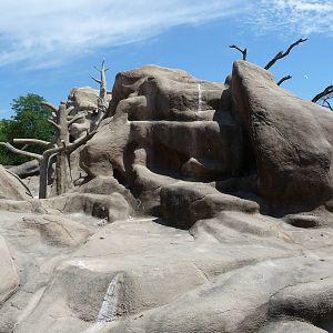 Brookfield Zoo - Baboon Island