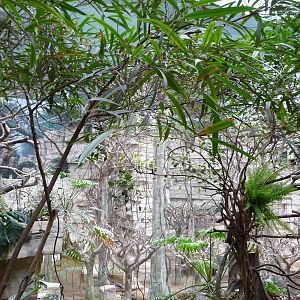 Brookfield Zoo - Tropic World