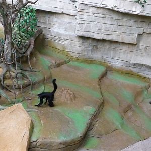 Brookfield Zoo - Tropic World