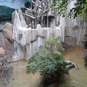 Brookfield Zoo - Tropic World