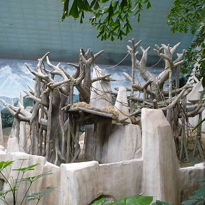 Brookfield Zoo - Tropic World