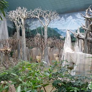 Brookfield Zoo - Tropic World