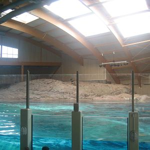 Kolmården Zoo - Dolphin Lagoon