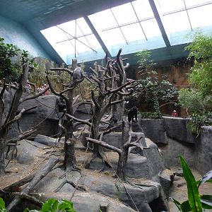 Brookfield Zoo - Tropic World