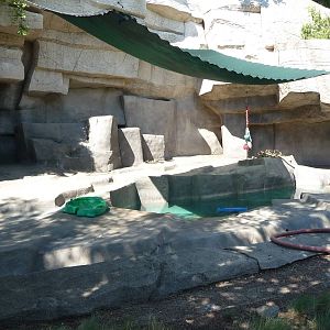 Brookfield Zoo - Polar Bear Exhibit