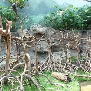 Bronx Zoo - Jungle World