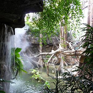Bronx Zoo - Jungle World