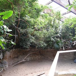 Bronx Zoo - Jungle World