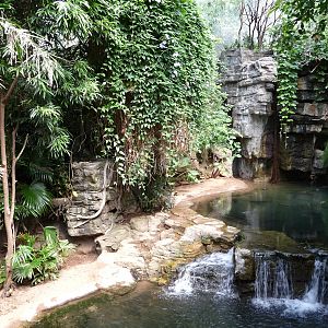 Bronx Zoo - Jungle World