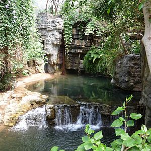 Bronx Zoo - Jungle World