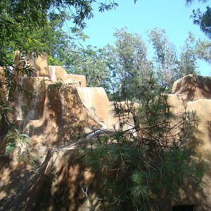 Bighorn Sheep exhibit at the Los Angeles Zoo