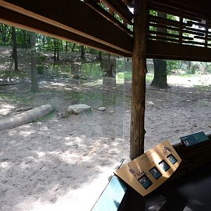 Bronx Zoo - African Wild Dog Viewing Window