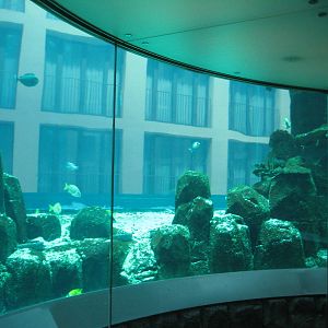 Aquadom Berlin Elevator