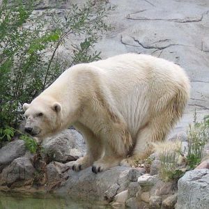 Debbie, August 3rd 2008